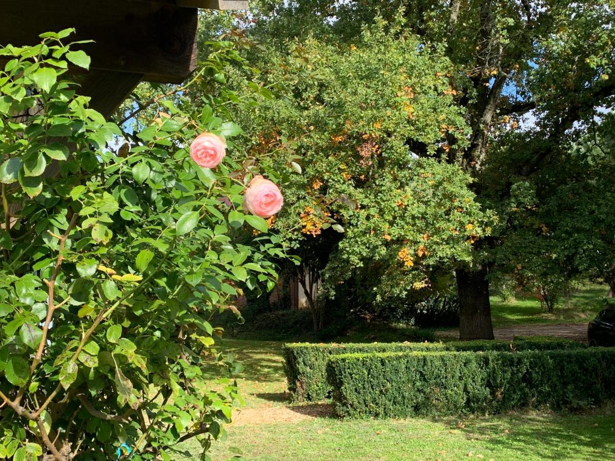 Majellon Grand Appartement Sainte-Christie-d'Armagnac المظهر الخارجي الصورة